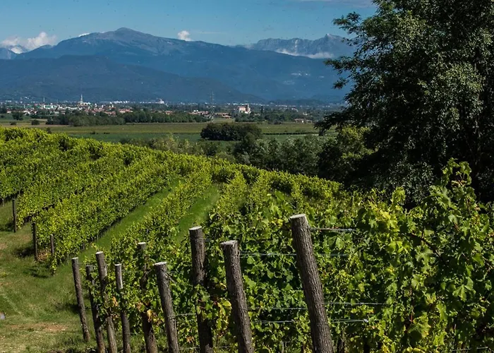 Delparco Hotel Buttrio